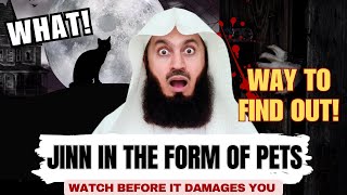 Can JINN be In The Form Of Cat  Mufti Menk [upl. by Milka]