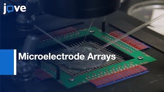 Microelectrode Arrays to Record Epileptiform Activity in Brain Slices  Protocol Preview [upl. by Nahshon754]