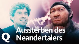 Warum starb der Neandertaler aus  Quarks [upl. by Haeluj]