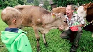 WieWirLeben  Urlaub am Bauernhof Kärnten 🐮 [upl. by Layor]