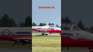 Snowbirds 2 at Yr Two Four Sky drive London Ontario Canada Airshow [upl. by Eneleahcim]