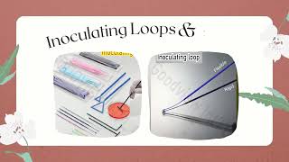 Serological Pipette amp Inoculating Loop [upl. by Yruy764]