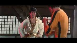 Part 2 Bruce Lee  Original Scene from Game Of Death [upl. by Estell]