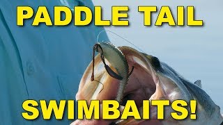 Best Paddle Tail Swimbait Tips for Bass Fishing These Work  Bass Fishing [upl. by Elumas]