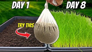 The FASTEST Way to Grow Grass Seed Pregermination Secrets REVEALED [upl. by Notlrac]