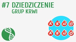 Dziedziczenie grup krwi 7  Genetyka [upl. by Enovad]