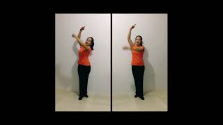 Basic Folk Dance Steps  Salok [upl. by Ennasil]