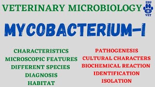 Mycobacterium MicrobiologyBacteriology [upl. by Rodrick242]