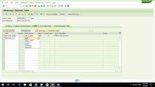 SAP ABAP Simple Table Create  SE11 Data Base [upl. by Ailemrac279]