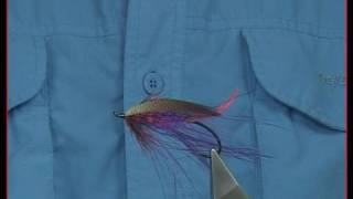 Tying the Purple Spey Steelhead Fly by Davie McPhail [upl. by Bucella]