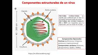 seminario 12  Generalidades de virología [upl. by Eednac]