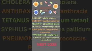 Bacterial diseases  Disease caused by bacteria [upl. by Lletram]