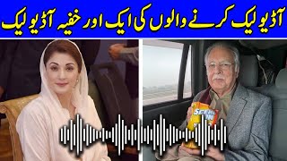 Another Alleged Audio Leaked Of Maryam Nawaz And Pervaiz Rashid  TE2U [upl. by Ahsenek]