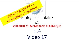 biologie cellulaire s1 vidéo 017  la membrane plasmique شرح [upl. by Adranoel]