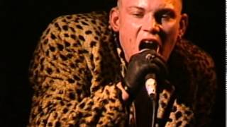 Demented Are Go  Vibrate  Live at The Klub Foot London UK 1987 [upl. by Derrick782]