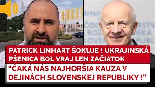 Poslanec NR SR Linhart ŠOKUJE čaká nás najhoršia kauza v dejinách Slovenska [upl. by Gazo61]