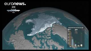 How ice has melted in the Arctic Ocean since 1984 [upl. by Rutherfurd]