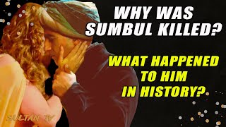 Sumbul Aga is attacked The death of the Chief Eunuch  Ottoman empire history [upl. by Adaliah]