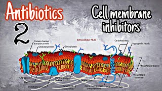 Antibiotics 2  polymyxins [upl. by Aloysius]