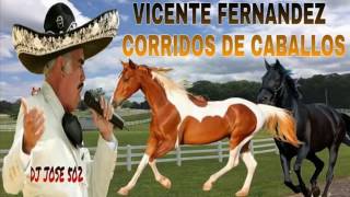 Vicente Fernandez Mix 2017 Corridos De Caballos Mix 2017 [upl. by Malkin]