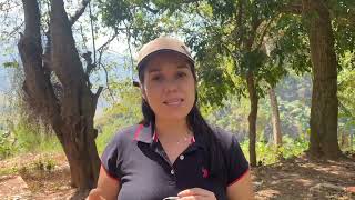 Protegemos el bosque en la Serranía del Perijá de la mano de la comunidad indígena Yupka Iroka [upl. by Yrtua500]