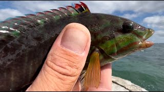 quot ROCKWALL FISHING KURNELL quot The Groins [upl. by Anavahs962]