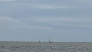 Westerly Berwick Mersea shore and oyster conservation area [upl. by Elleyoj]