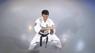 Heian Sandan Kata Naihanchi Sandan Kata  tekki sandan kata ナイファンチン ショダン [upl. by Binah]