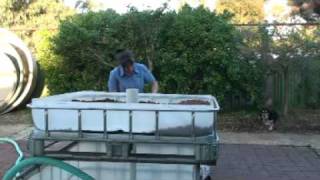 Building an ibc aquaponic system [upl. by Annekim]