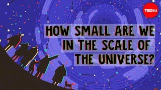 How small are we in the scale of the universe  Alex Hofeldt [upl. by Allina977]