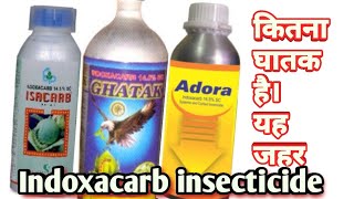 IndoxacarbInsecticideक्या ये अधिक घातक है farmingwithsanyog indoxacarbinsecticide pesticide [upl. by Aidnac]