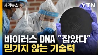 자막뉴스 국내 연구진의 놀라운 기술력 획기적으로 감염 밝혀내  YTN [upl. by Cerracchio]