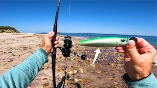 HOT Summertime Surf Bite With Topwater and Shads Fishing Montauk Episode 5 [upl. by Dleifrag439]