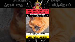 துரோகிகள் Murugan motivational status murugan trendingtamil successmindset [upl. by Greenburg]