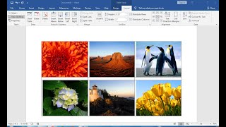 how to insert picture in word document into word Table same size [upl. by Silera]