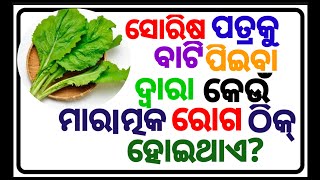 odia gk  odia top 10 gk  genaral knowledge questions odia  odia gk questions and answers 2024 [upl. by Chor]