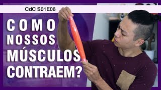 Contração muscular como nos MOVIMENTAMOS  Ciência do Corpo S01E06 [upl. by Noelle]