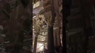 Spains Cordoba Mosque Andalus beautiful secret قرطبہ مسجد سپین کا خوبصورت راز ۔ masjid andalucia [upl. by Waldemar]