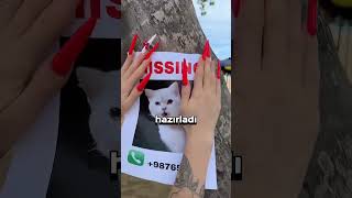 😥Kedisi kaybolmuştu 🥹 [upl. by Ahseenyt]