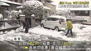 仙台・石巻・古川で今季一番の積雪 宮城県各地で雪 交通機関に影響 [upl. by Melinda]