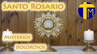 Santo Rosario María con nosotros Misterios Dolorosos martes y viernes Ante el Santísimo [upl. by Asila312]