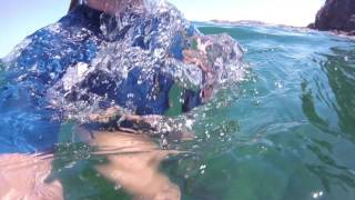 Costa Rica  Snorkeling off Playas del Coco [upl. by Nalon]