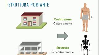 Abitazione  Struttura portante  Classi 2 [upl. by Nador]