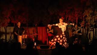 Flamenco under the stars  Busselton Fringe [upl. by Annoik]