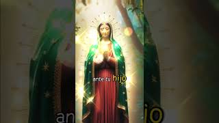 virgendeguadalupe amor fe oración a la virgen de Guadalupe [upl. by Stilu]