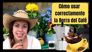 Cómo utilizar correctamente la borra del café para abonar Suculentas y otras plantas [upl. by Umberto690]