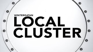 Wintergatan  Local Cluster Clean Audio [upl. by Nasaj]