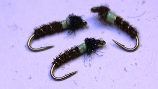 How to tie a Cased Caddis  Nymph [upl. by Nnylaehs]