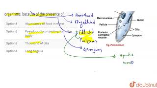 Ciliated protozoans are aquatic actively moving organisms because of the presence of [upl. by Calie]