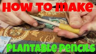 How to make plantable pencils [upl. by Queena]